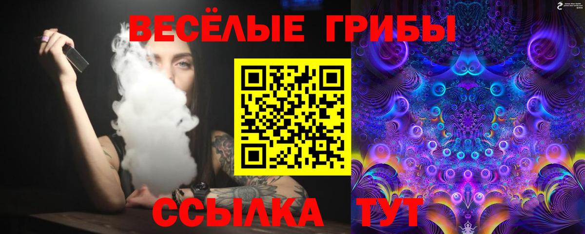 Галлюциногенные грибы Magic Shrooms Курчалой
