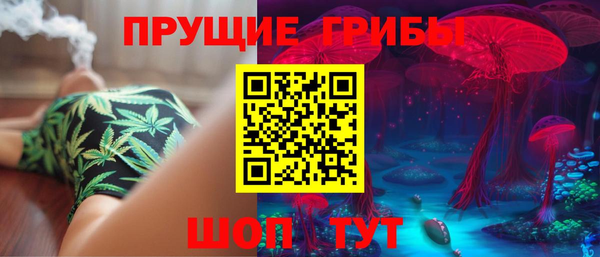 Галлюциногенные грибы Psilocybine cubensis  продажа наркотиков  Курчалой  Вход с VPN 